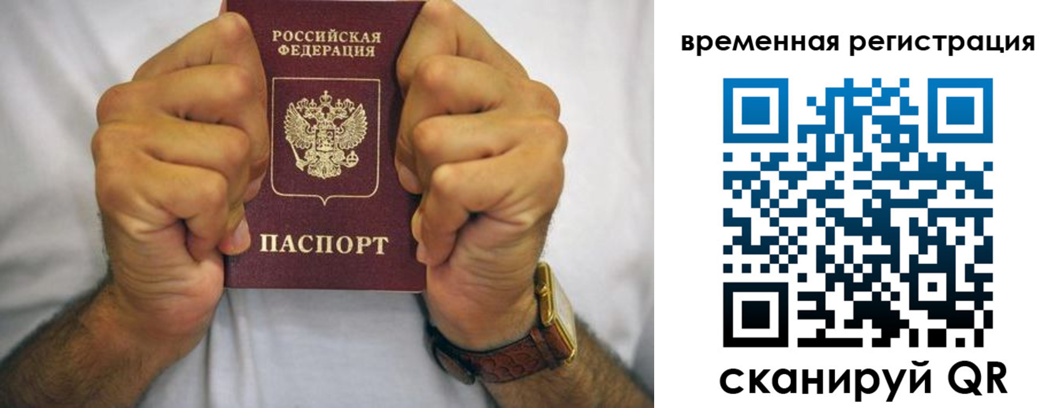 временная регистрация госуслуги в Ельне
